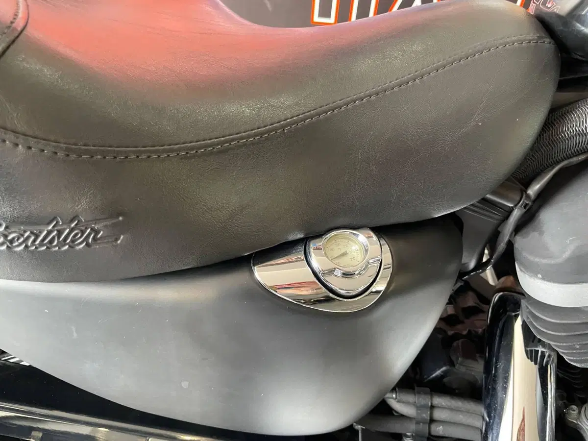 Harley-Davidson 883 R (2006 - 07) - XL 883R (8)
