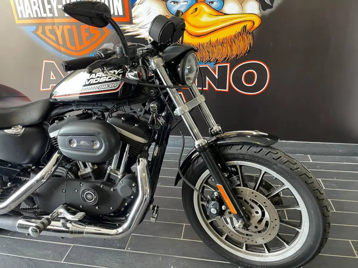 Harley-Davidson 883 R (2006 - 07) - XL 883R (9)