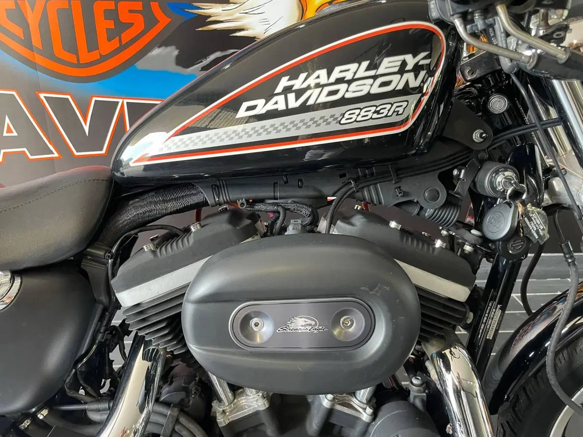 Harley-Davidson 883 R (2006 - 07) - XL 883R (11)