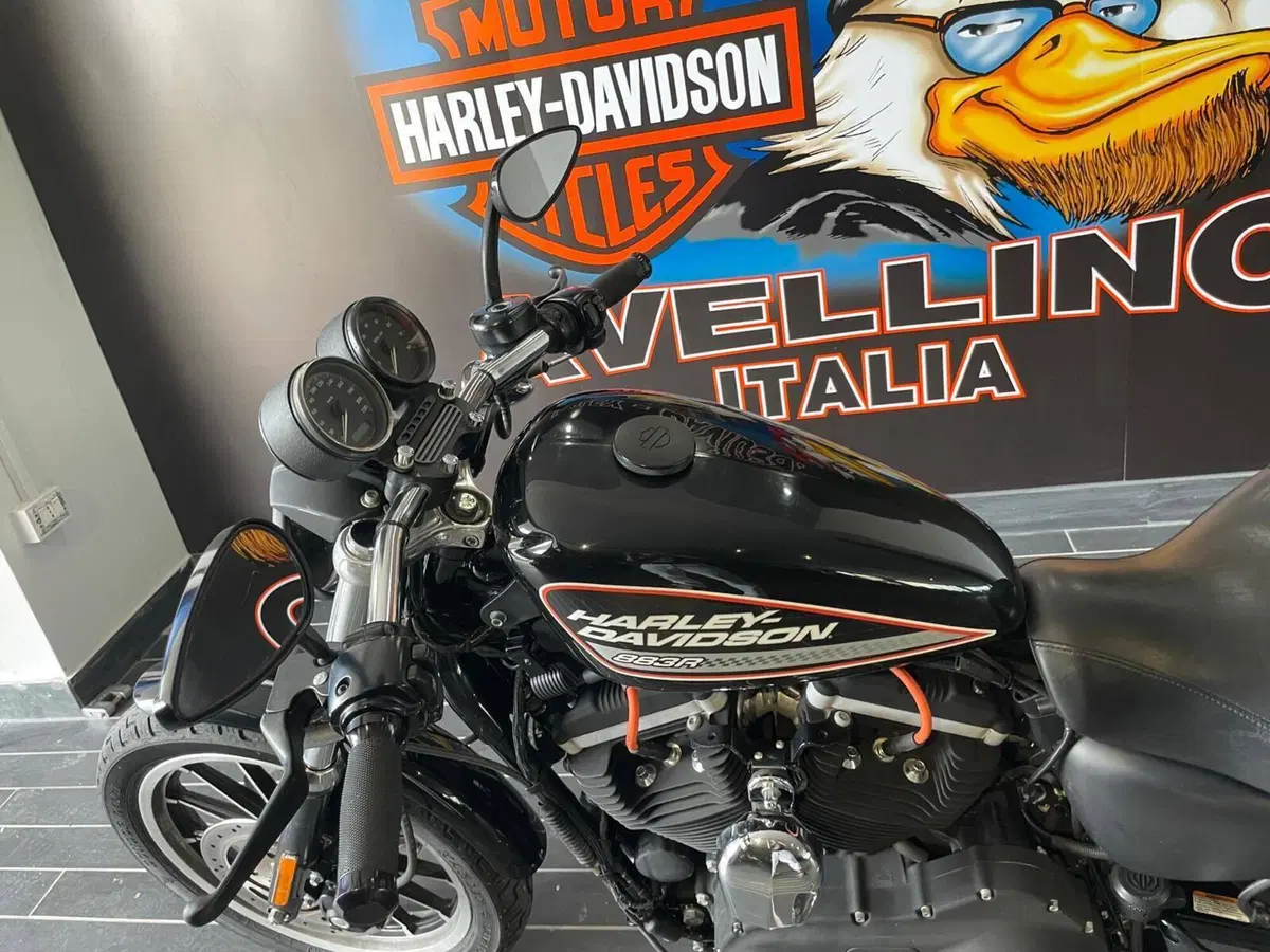 Harley-Davidson 883 R (2006 - 07) - XL 883R (12)
