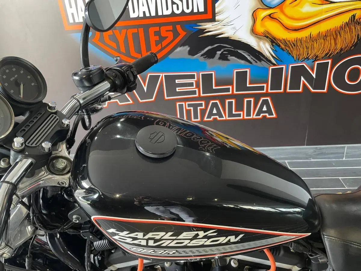 Harley-Davidson 883 R (2006 - 07) - XL 883R (13)