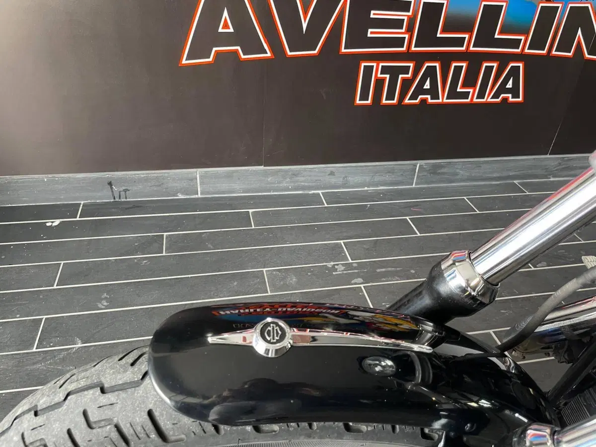Harley-Davidson 883 R (2006 - 07) - XL 883R (14)