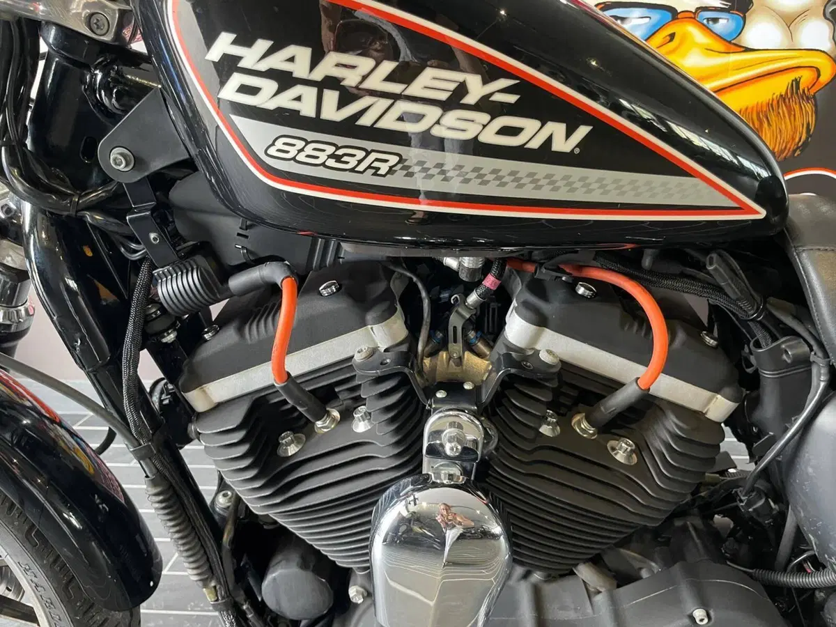 Harley-Davidson 883 R (2006 - 07) - XL 883R (15)