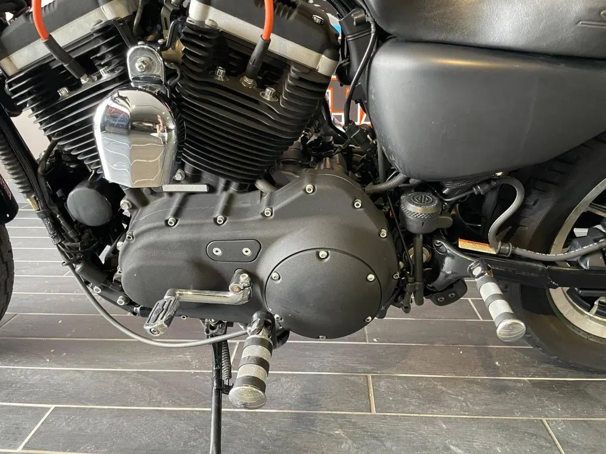 Harley-Davidson 883 R (2006 - 07) - XL 883R (17)