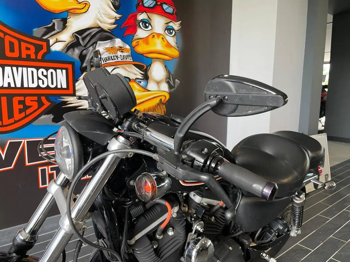 Harley-Davidson 883 R (2006 - 07) - XL 883R (18)