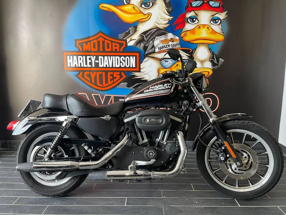 Harley-Davidson 883 R (2006 - 07) - XL 883R (20)