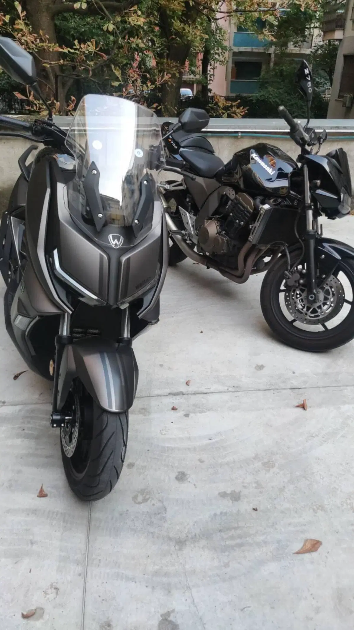 Kawasaki Z 750 (2003 - 06)