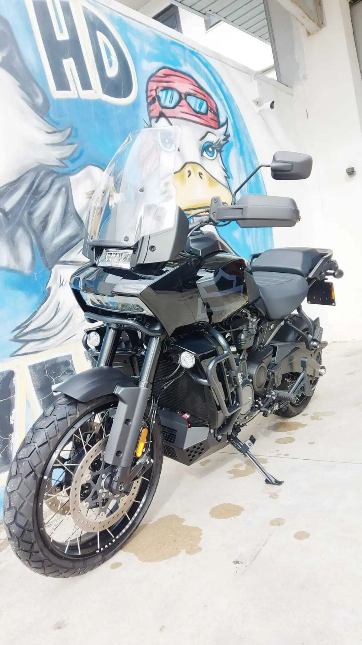 Harley-Davidson Pan America 1250 Special (2020 - 25) (3)