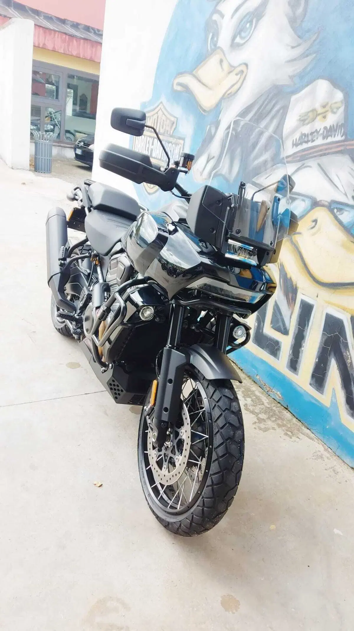 Harley-Davidson Pan America 1250 Special (2020 - 25) (7)