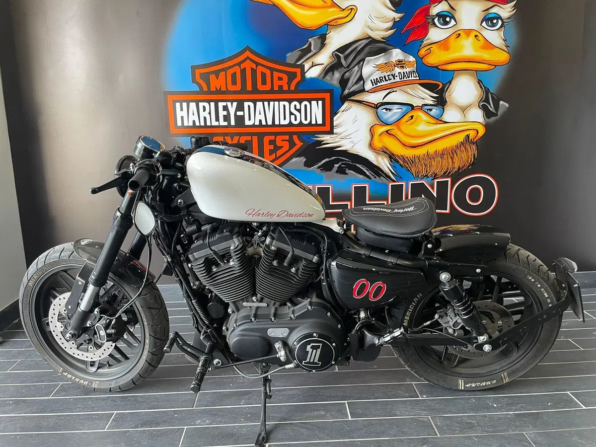 Harley-Davidson 1200 Roadster (2017 - 20) - XL 1200R