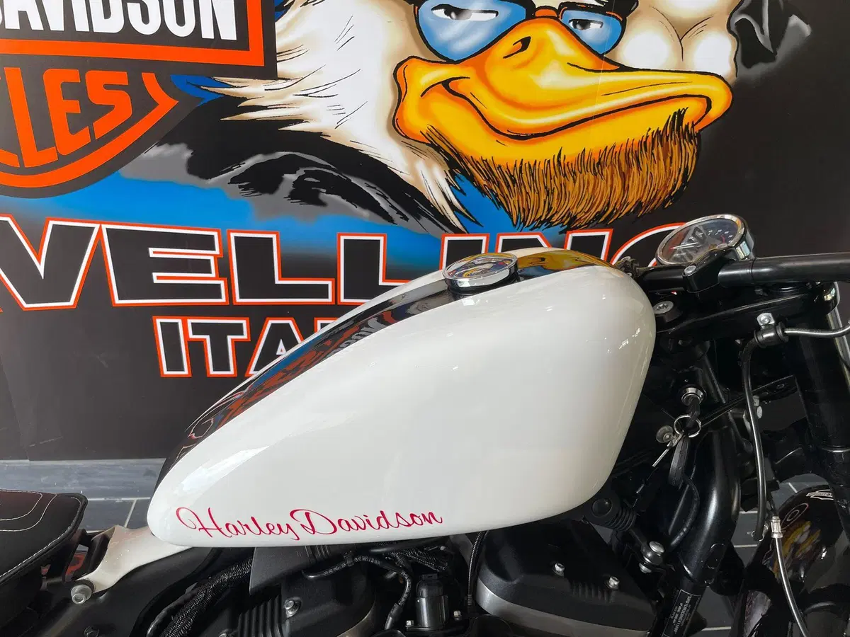 Harley-Davidson 1200 Roadster (2017 - 20) - XL 1200R (4)