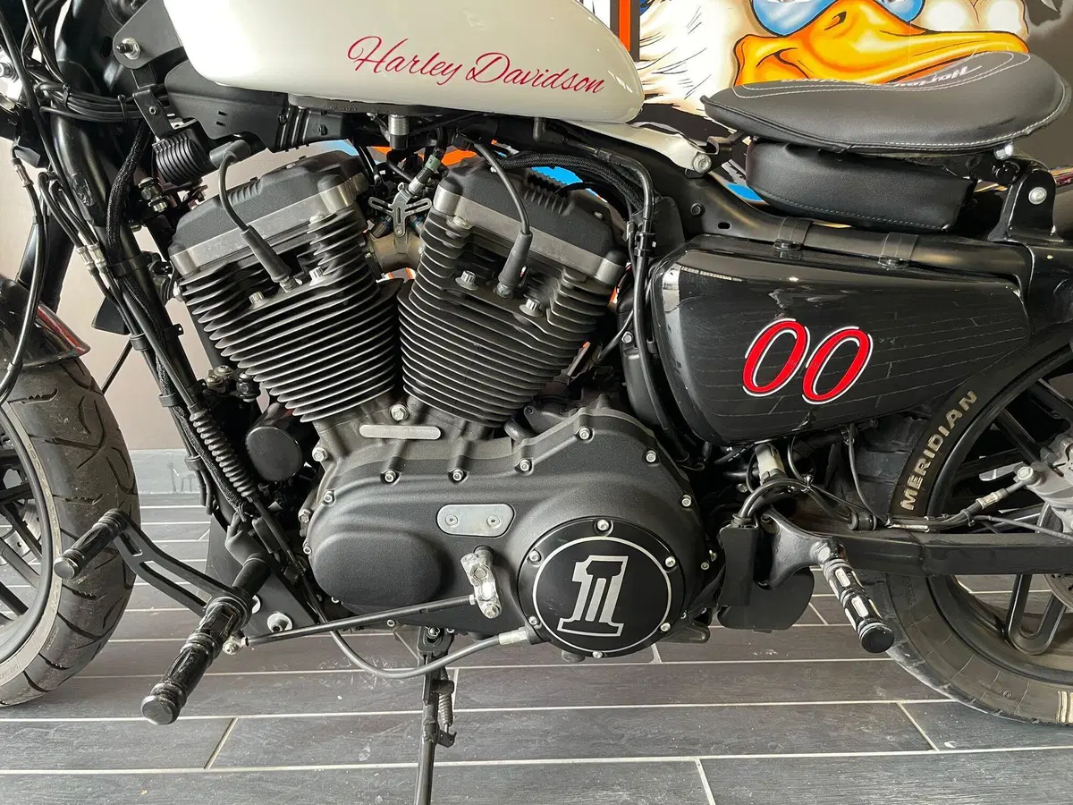 Harley-Davidson 1200 Roadster (2017 - 20) - XL 1200R (11)