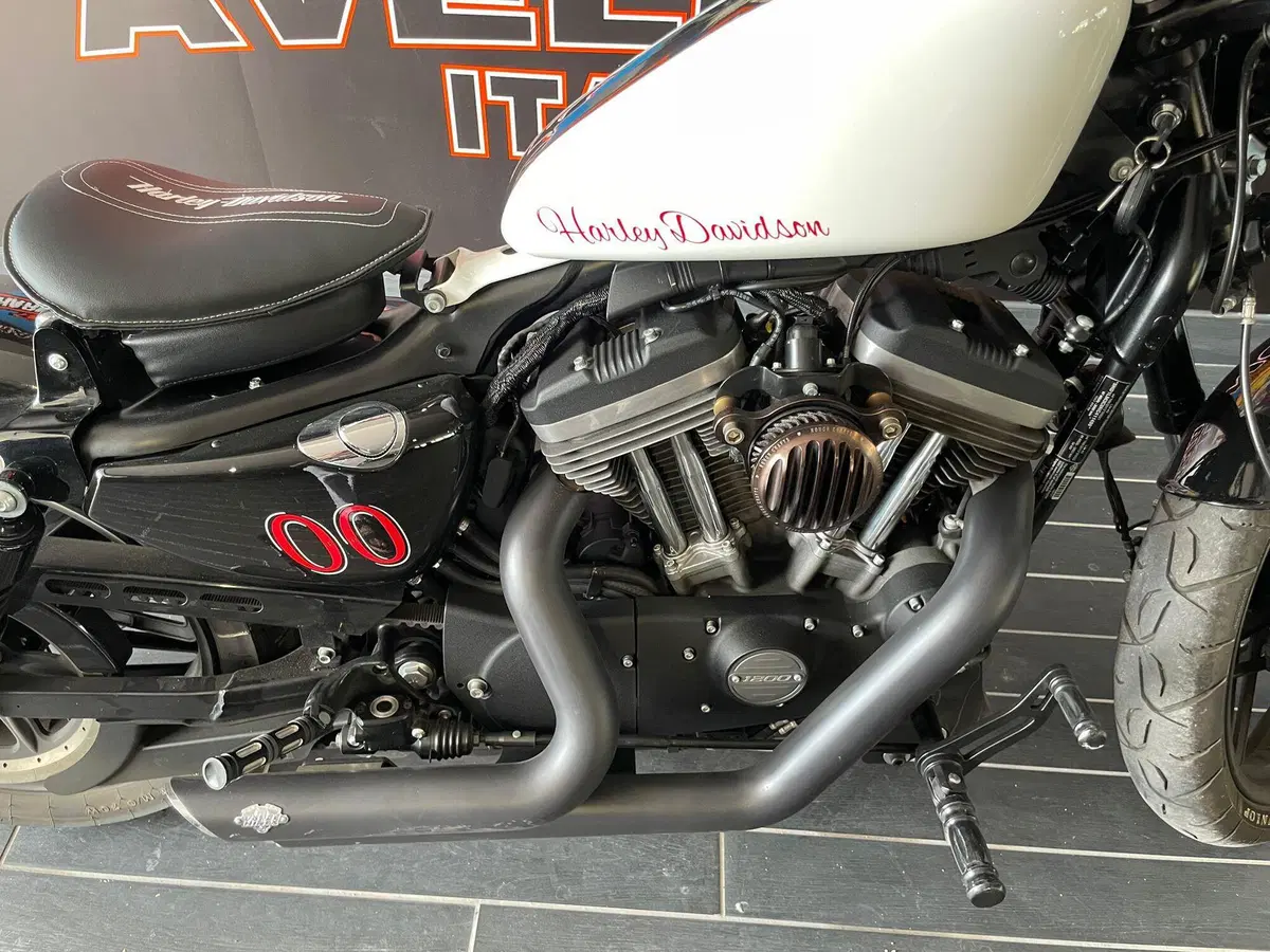 Harley-Davidson 1200 Roadster (2017 - 20) - XL 1200R (5)