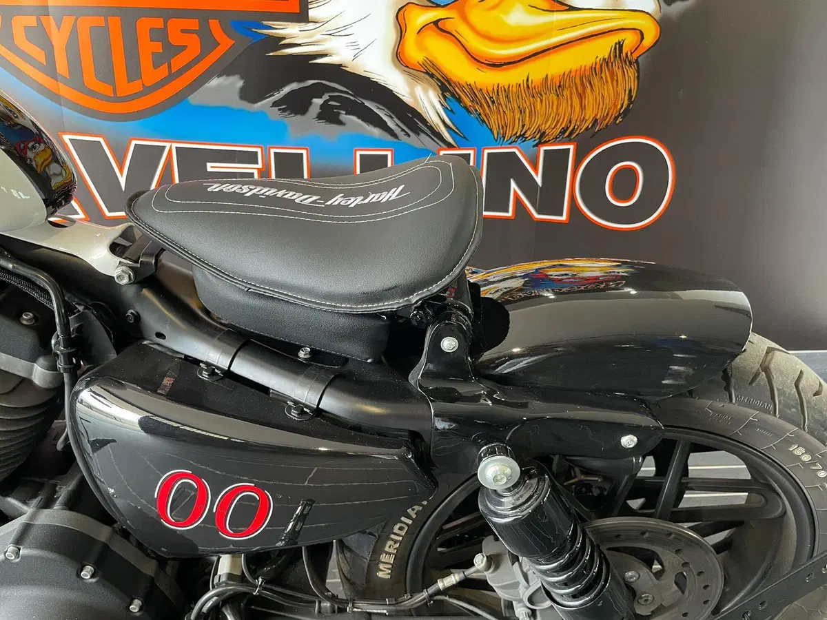 Harley-Davidson 1200 Roadster (2017 - 20) - XL 1200R (9)