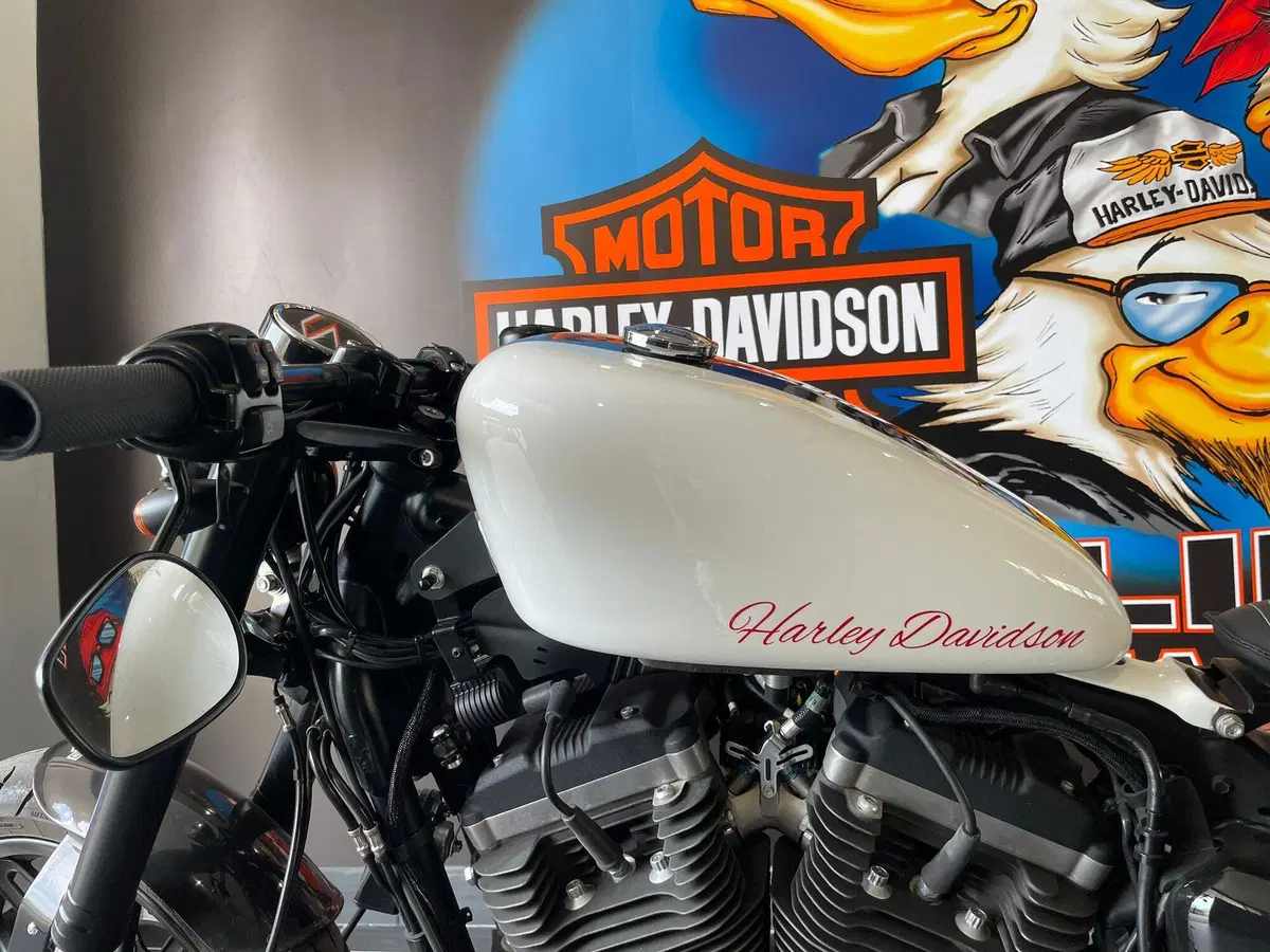 Harley-Davidson 1200 Roadster (2017 - 20) - XL 1200R (6)