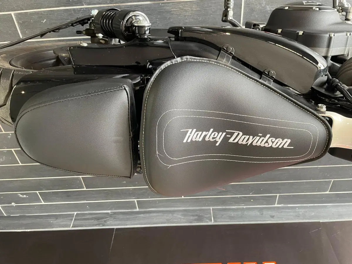 Harley-Davidson 1200 Roadster (2017 - 20) - XL 1200R (16)