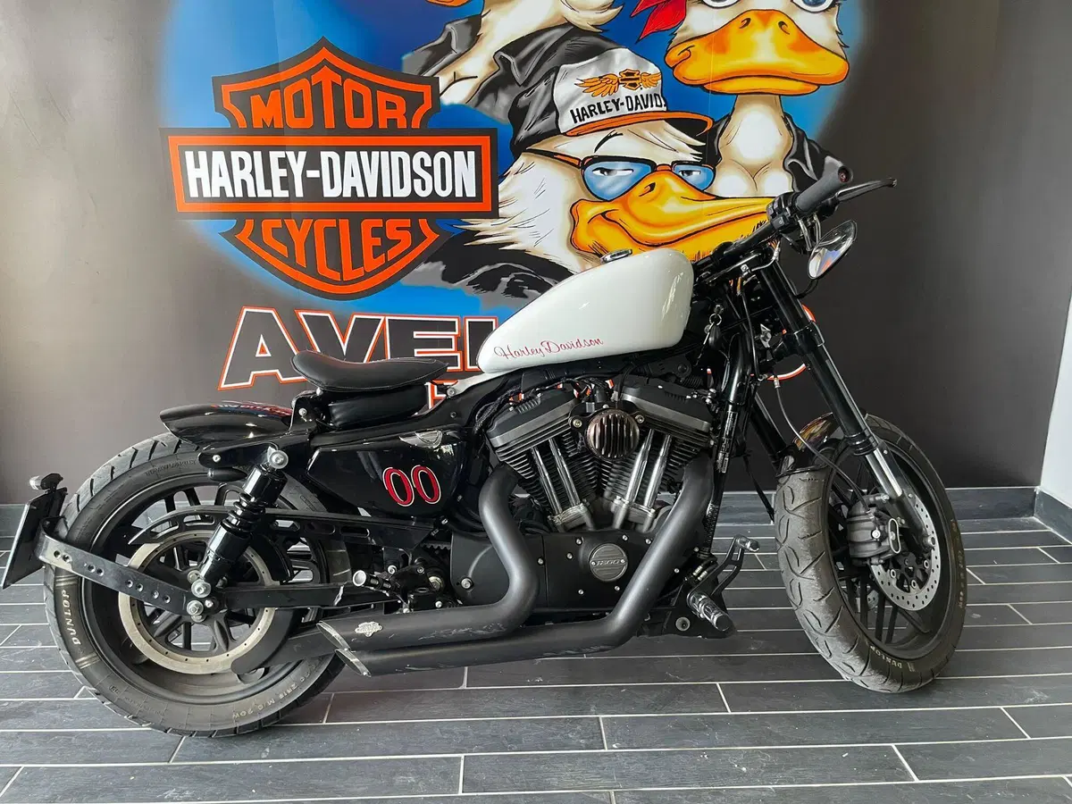 Harley-Davidson 1200 Roadster (2017 - 20) - XL 1200R (17)