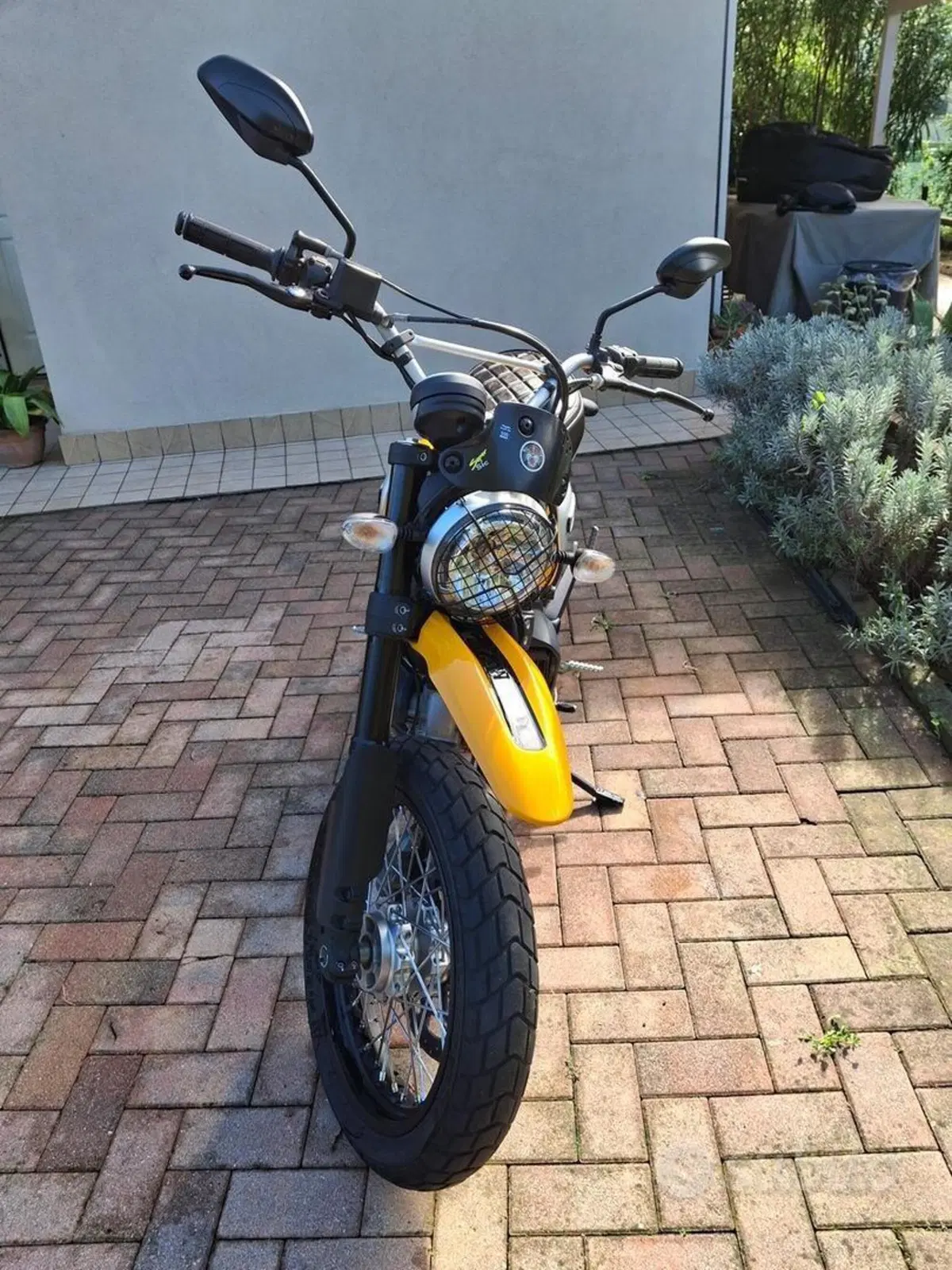 Ducati Scrambler 800 Classic (2015 - 16) (5)
