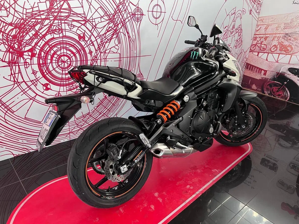 Kawasaki ER-6N ABS (2012 - 16) (3)