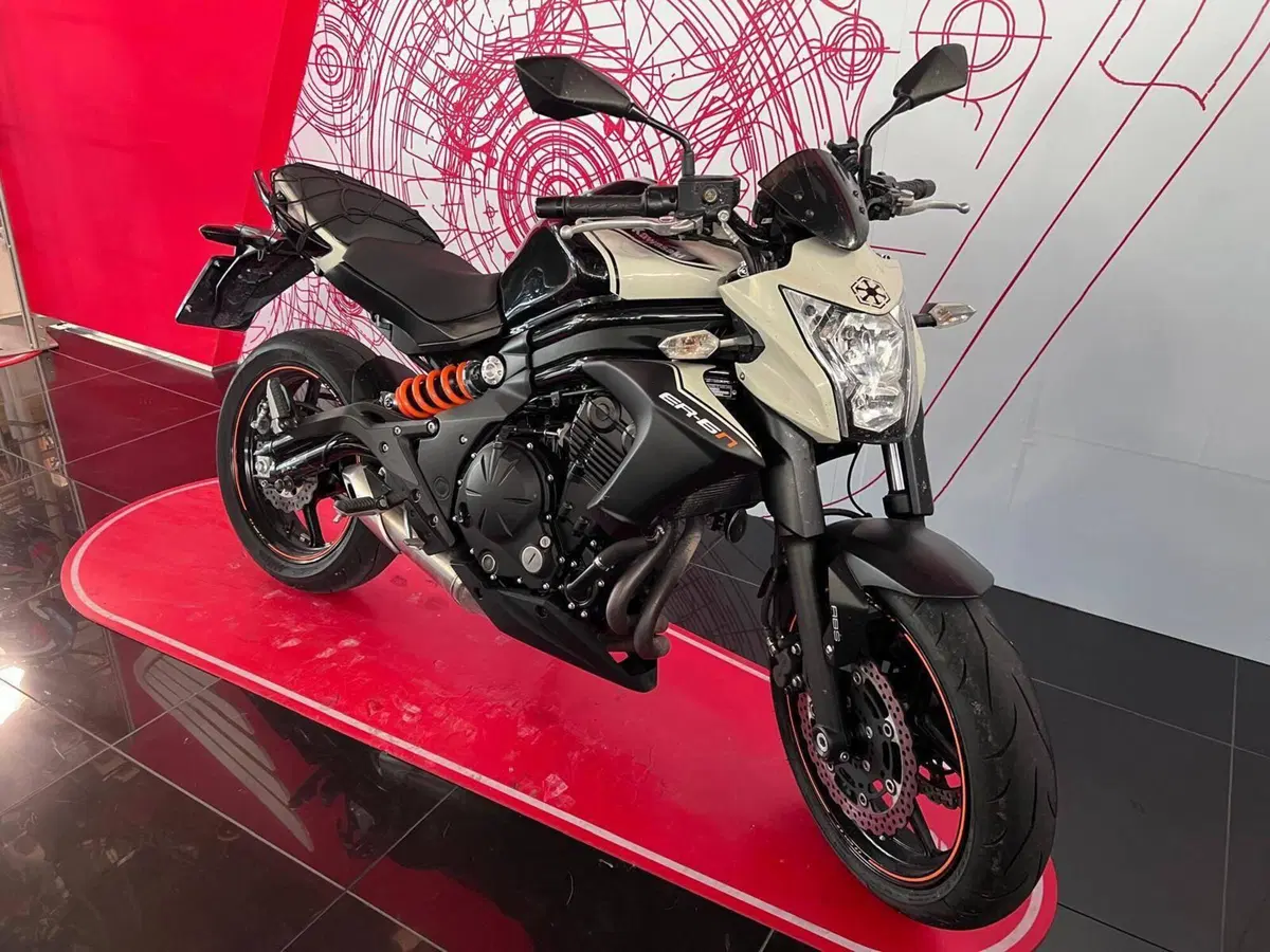 Kawasaki ER-6N ABS (2012 - 16) (2)