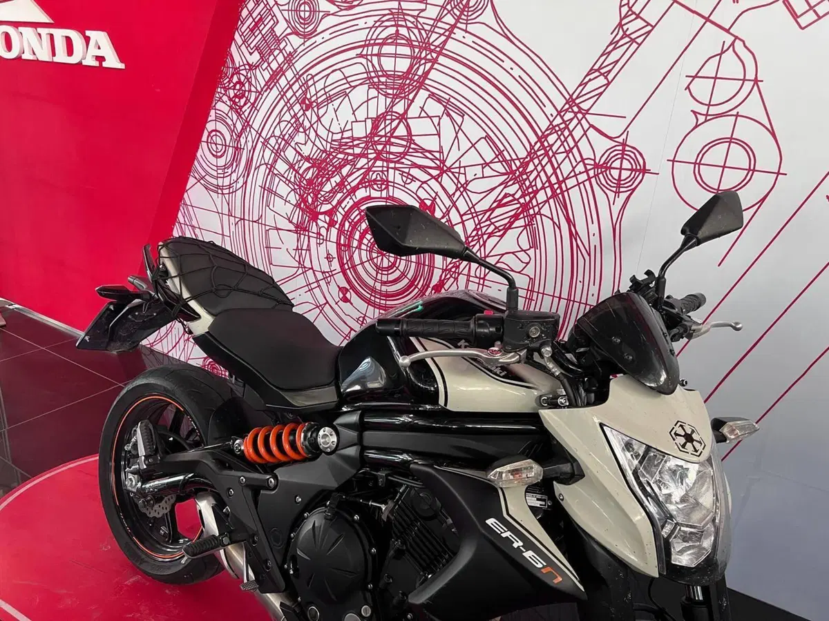 Kawasaki ER-6N ABS (2012 - 16) (4)