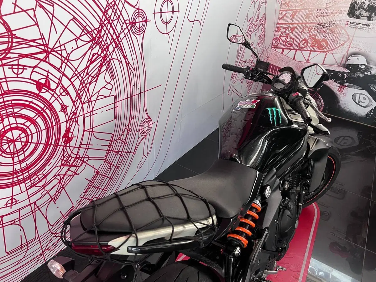 Kawasaki ER-6N ABS (2012 - 16) (5)