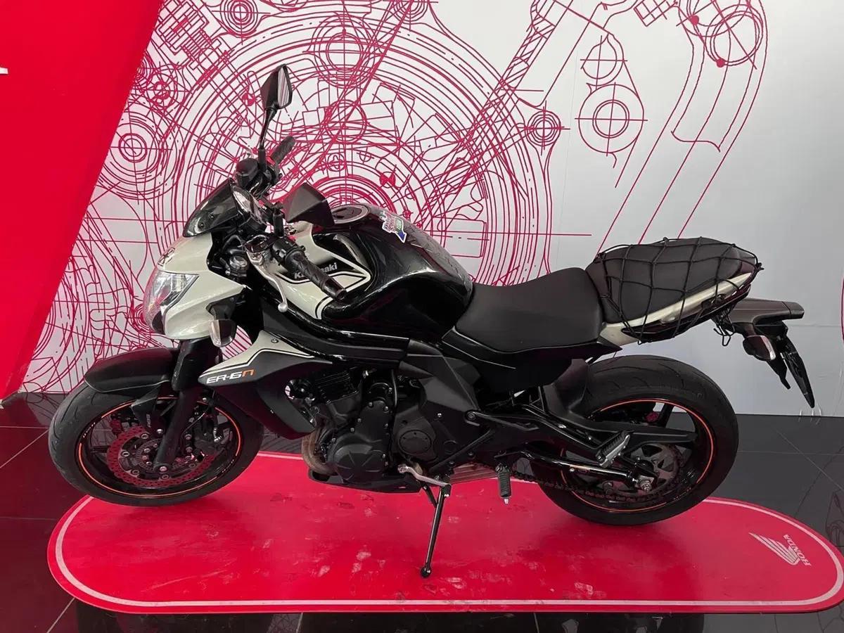Kawasaki ER-6N ABS (2012 - 16) (6)