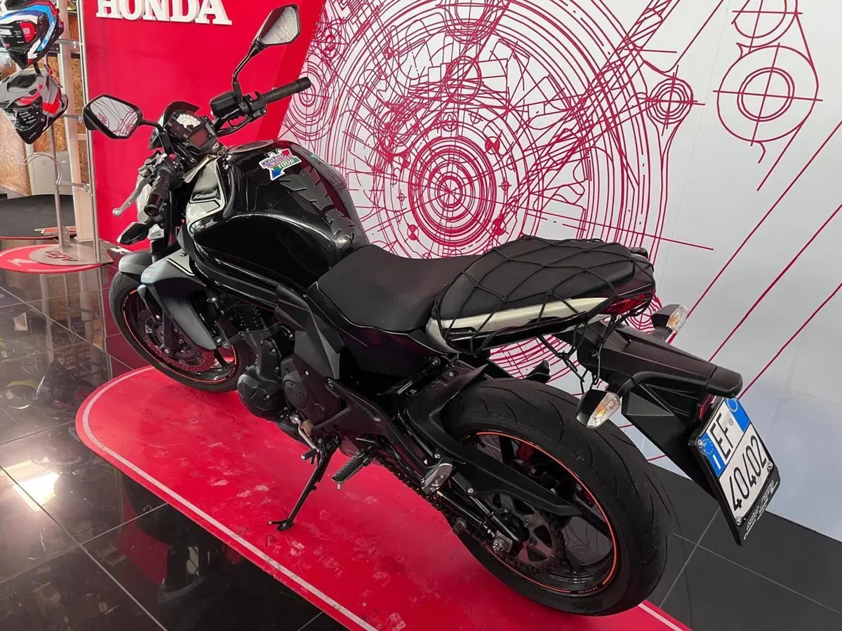 Kawasaki ER-6N ABS (2012 - 16) (7)