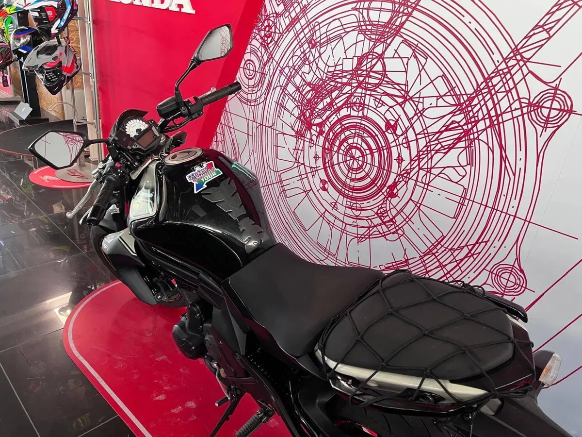 Kawasaki ER-6N ABS (2012 - 16) (8)