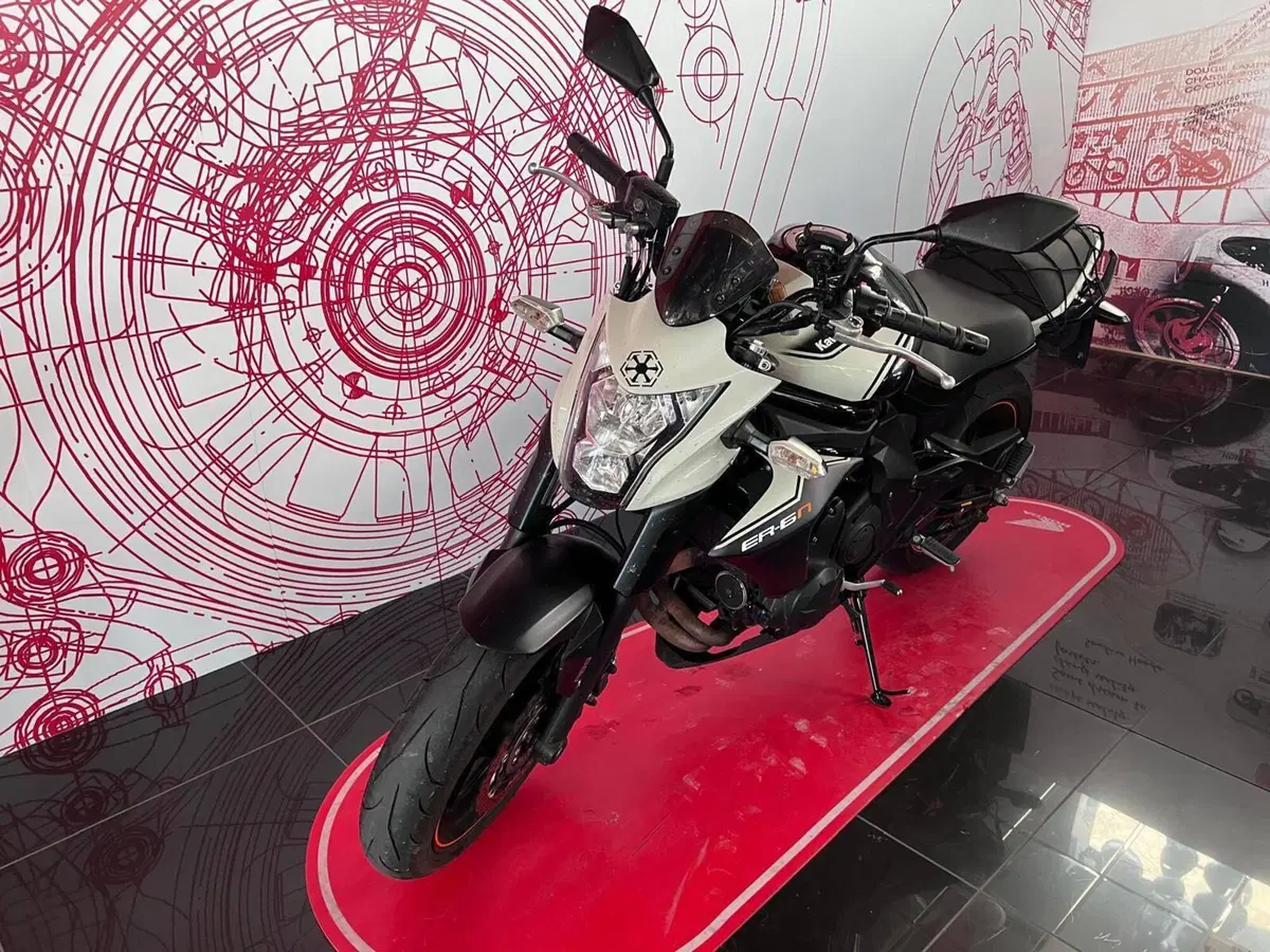 Kawasaki ER-6N ABS (2012 - 16) (9)