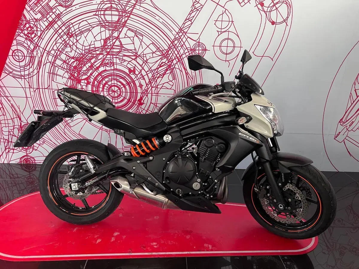 Kawasaki ER-6N ABS (2012 - 16)