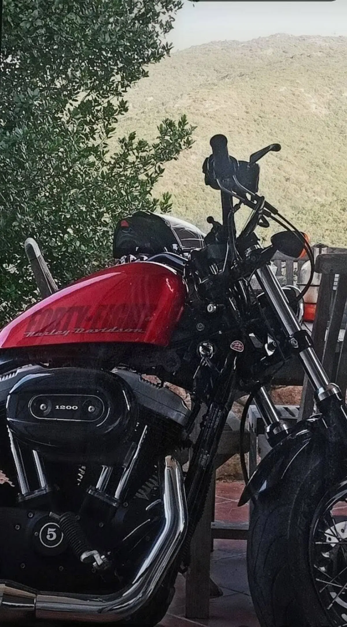 Harley-Davidson 1200 Forty-Eight (2010 - 15)