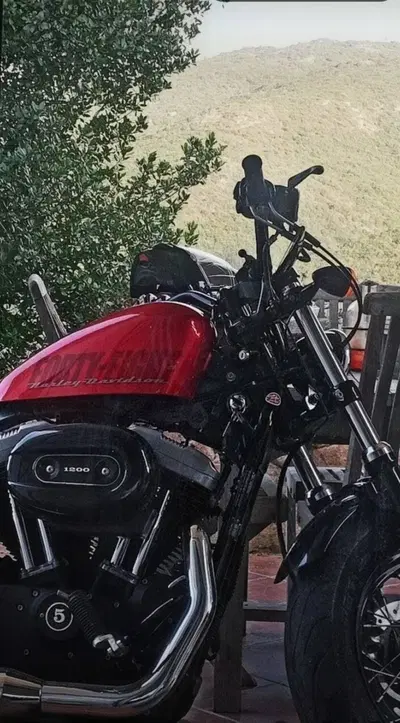 Harley-Davidson 1200 Forty-Eight (2010 - 15) usata