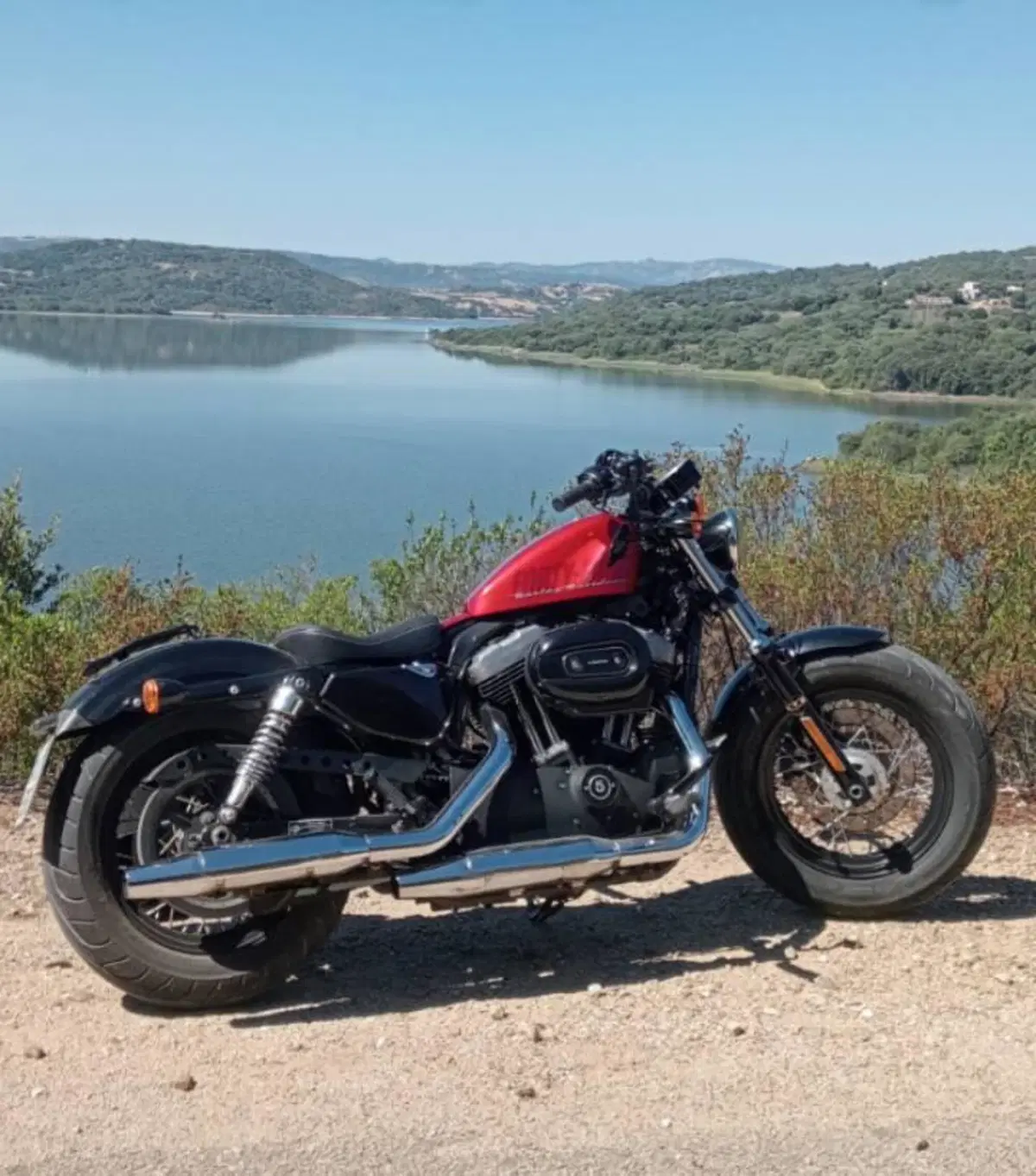 Harley-Davidson 1200 Forty-Eight (2010 - 15) (2)