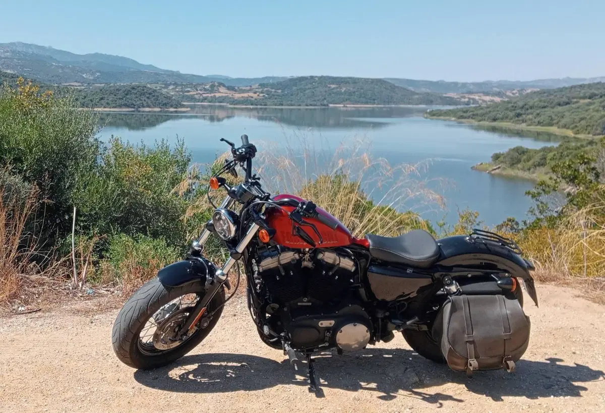 Harley-Davidson 1200 Forty-Eight (2010 - 15) (3)
