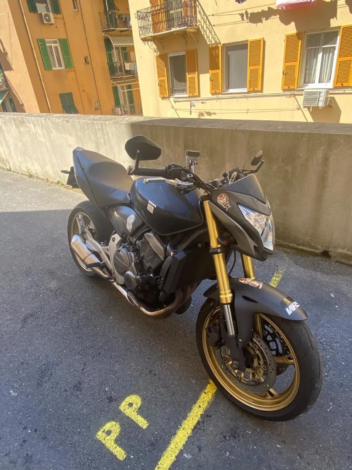 Honda Hornet 600 (2011 - 13) (2)