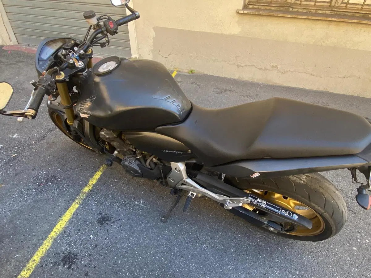 Honda Hornet 600 (2011 - 13) (4)