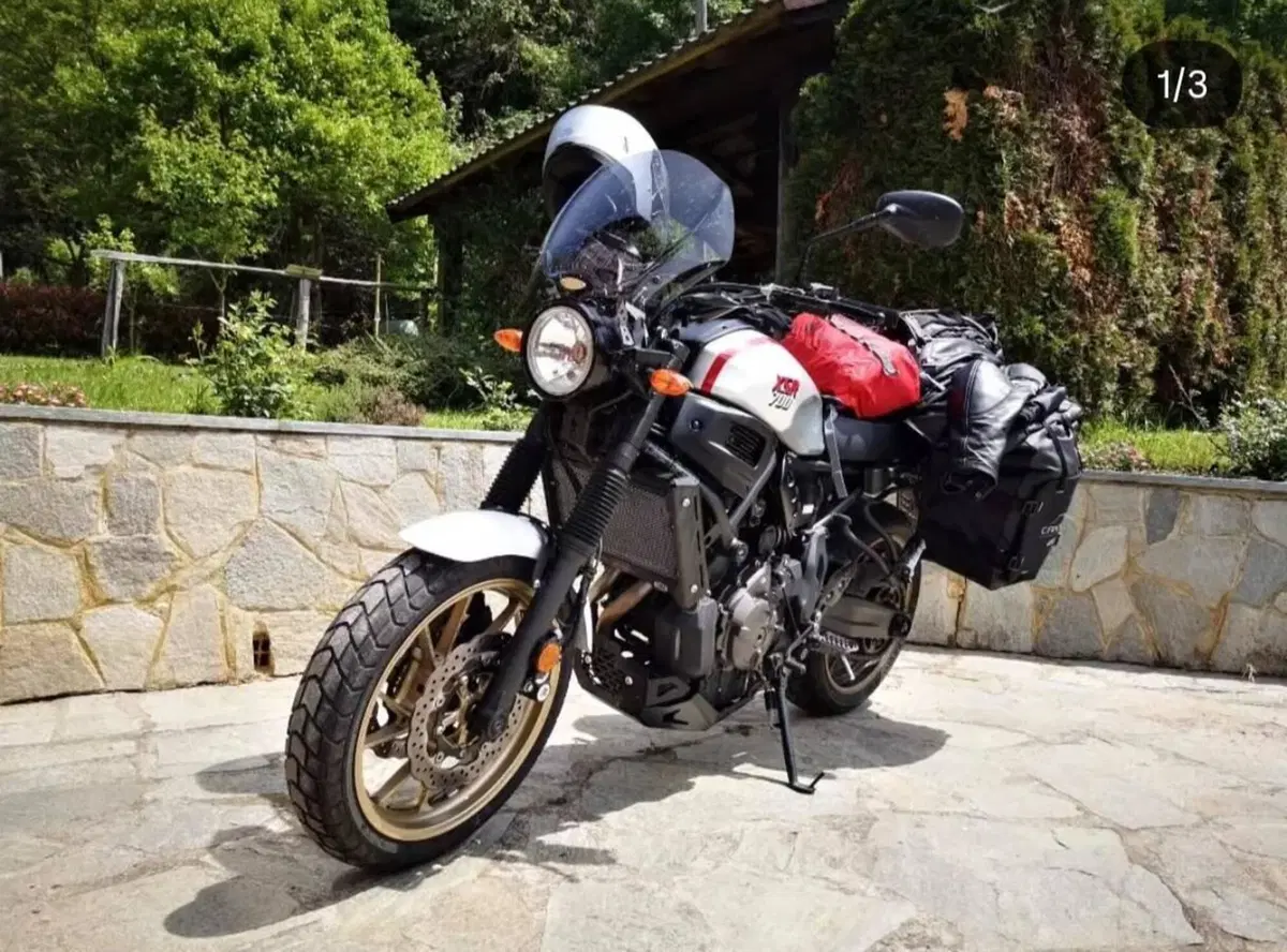 Yamaha XSR 700 XTribute (2019 - 20) (3)