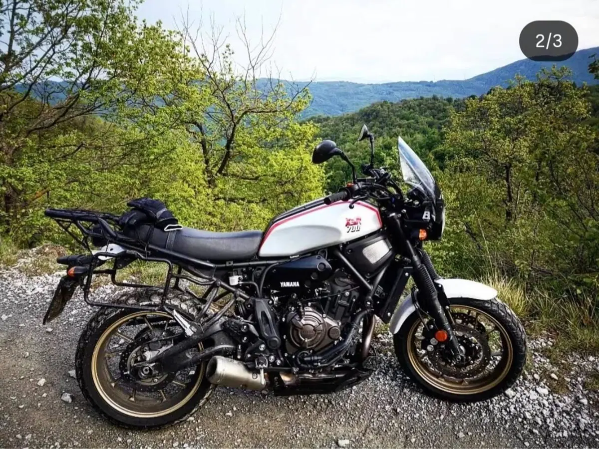 Yamaha XSR 700 XTribute (2019 - 20) (4)