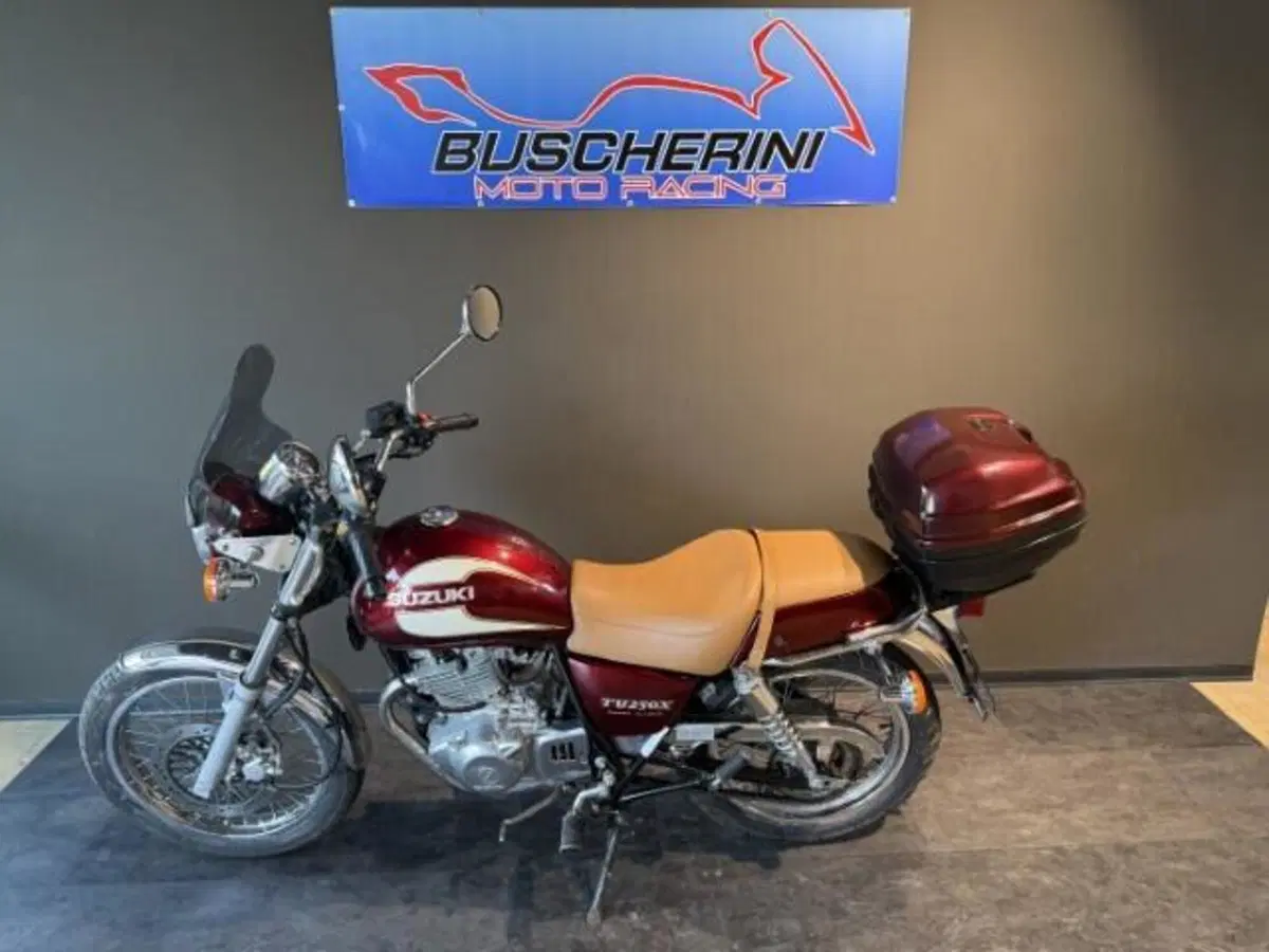 Suzuki TU 250 XX Super Classic (1996 - 00) (10)