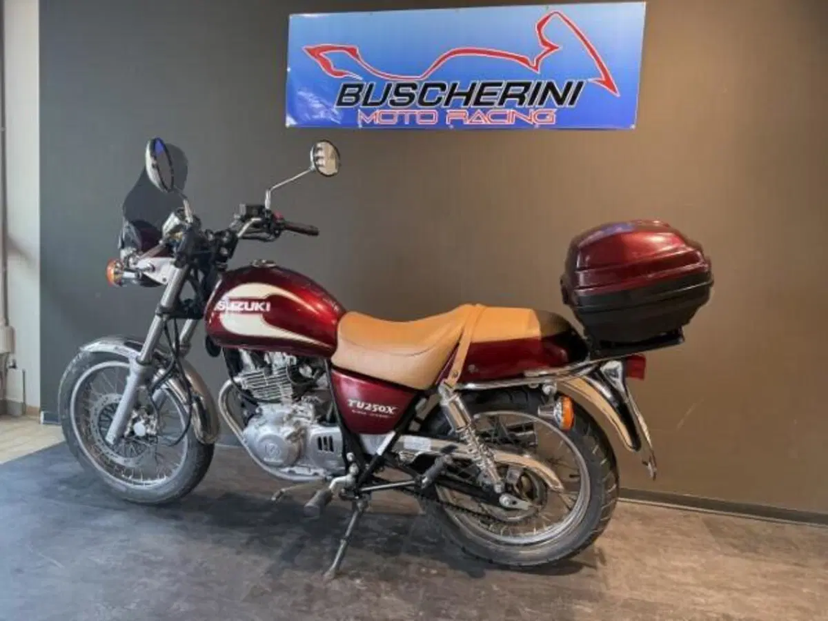 Suzuki TU 250 XX Super Classic (1996 - 00) (6)