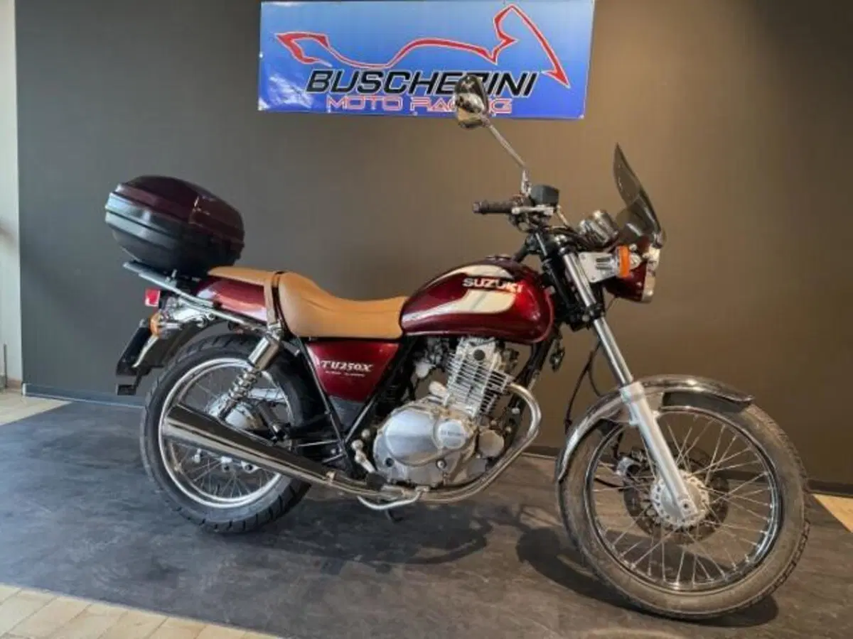 Suzuki TU 250 XX Super Classic (1996 - 00) (11)