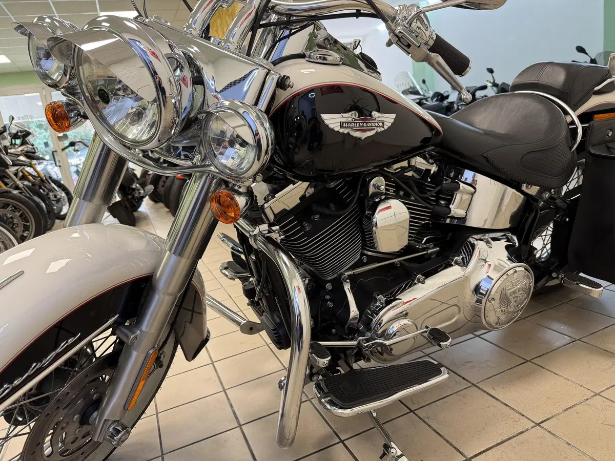Harley-Davidson 1585 Softail Deluxe (2011) - FLSTN (5)