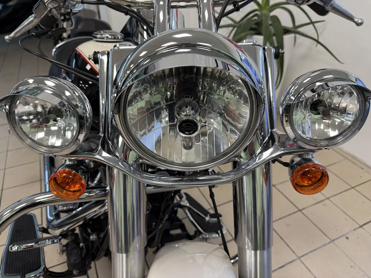 Harley-Davidson 1585 Softail Deluxe (2011) - FLSTN (6)