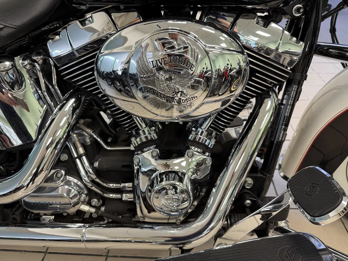 Harley-Davidson 1585 Softail Deluxe (2011) - FLSTN (7)