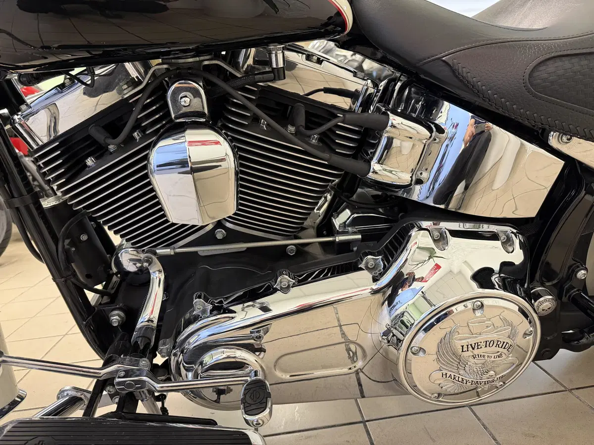 Harley-Davidson 1585 Softail Deluxe (2011) - FLSTN (9)