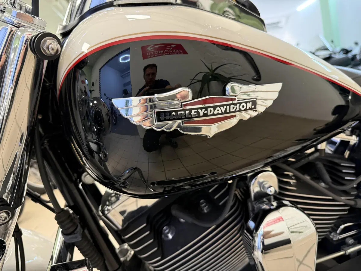 Harley-Davidson 1585 Softail Deluxe (2011) - FLSTN (10)