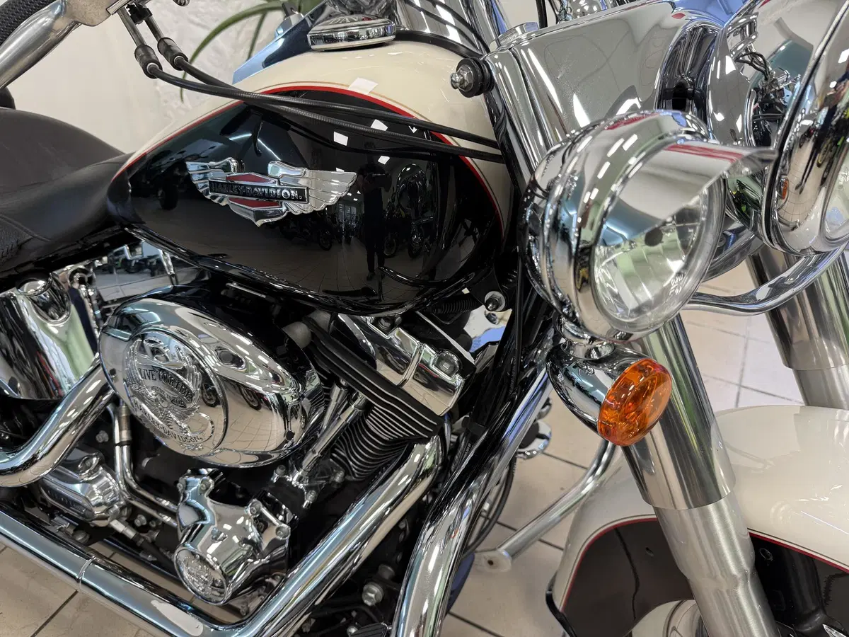 Harley-Davidson 1585 Softail Deluxe (2011) - FLSTN (12)