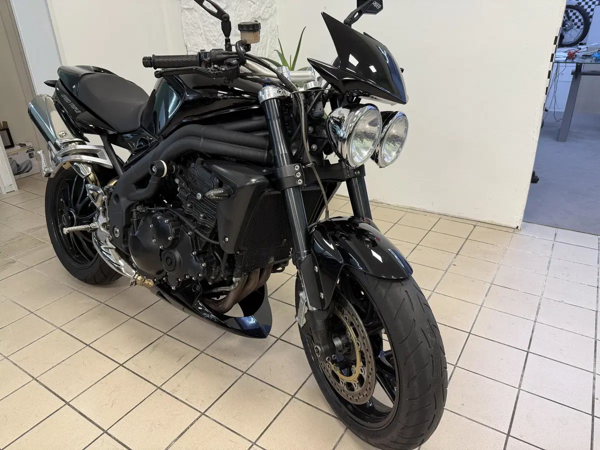 Triumph Speed Triple 1050 (2005 - 11) (2)