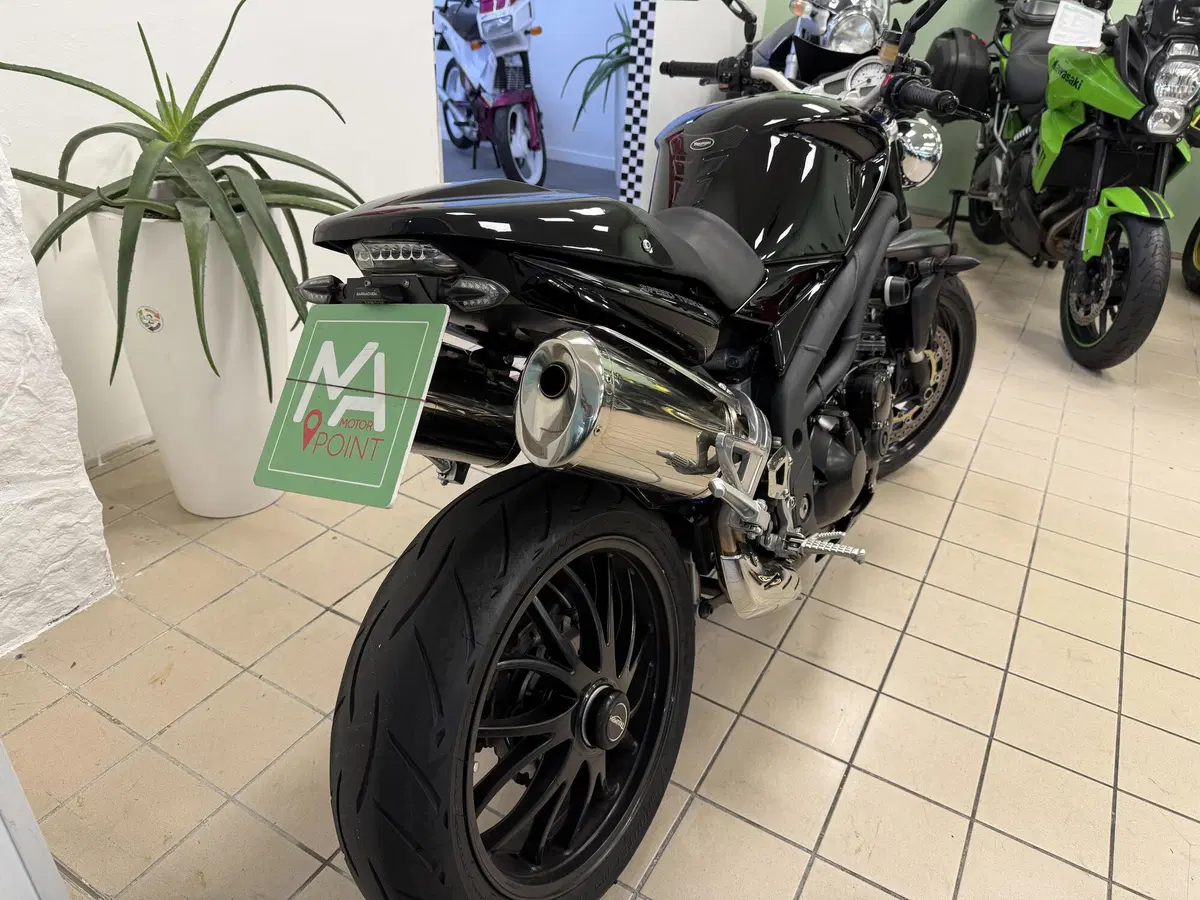 Triumph Speed Triple 1050 (2005 - 11) (3)